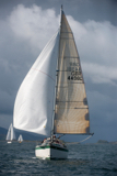 viva gbr4498l whyw17 mon gjmc 6590